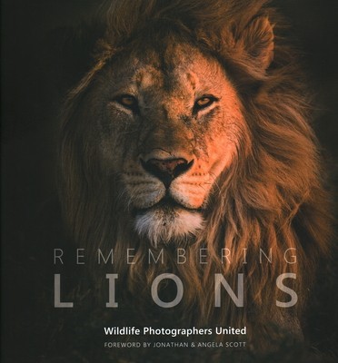 Remembering Lions foto