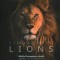 Remembering Lions