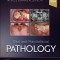 Oral and Maxillofacial Pathology
