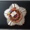 1973 Insigna Fruntas in intrecere