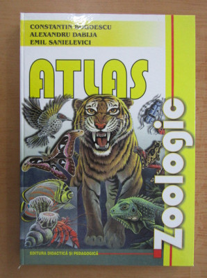 Constantin Bogoescu, Alexandru Dabija - Atlas zoologic (2002, editie cartonata) foto