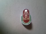 Insigna IIRUC Service , h = 2,2cm , metal si email