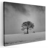 Tablou peisaj copac singuratic iarna Tablou canvas pe panza CU RAMA 30x40 cm