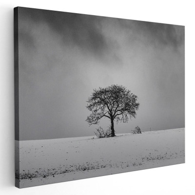 Tablou peisaj copac singuratic iarna Tablou canvas pe panza CU RAMA 60x90 cm foto