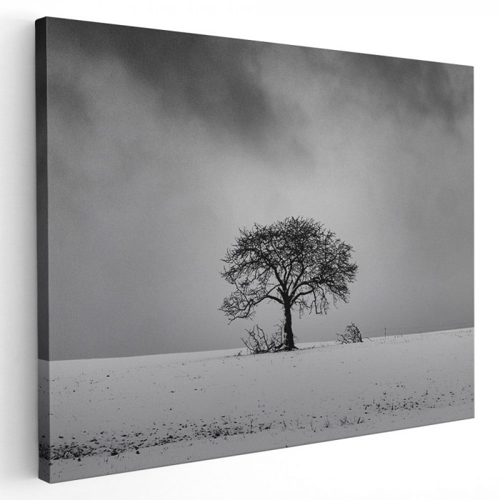 Tablou peisaj copac singuratic iarna Tablou canvas pe panza CU RAMA 70x100 cm