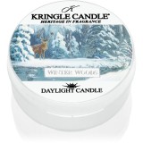 Kringle Candle Winter Woods lum&acirc;nare 42 g