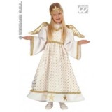 Costum Ingeras 1-3 ani