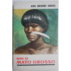 Indienii din Mato Grosso &ndash; Mihai Gheorghe Andries