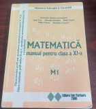 Matematică manual pentru clasa a XI-a