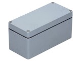 Carcasă universală RAYCHEM RPG IP66 poliester gri 75mm x 160mm x 75mm
