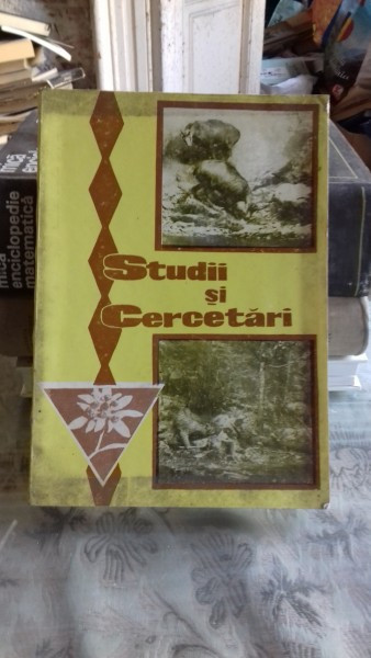 STUDII SI CERCETARI - BOGDAN BOBIRNAC