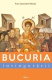 Bucuria &icirc;nsingurării - Paperback brosat - Constantin Valer Necula - Agnos