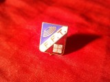 Insigna veche Franta - FFT - Federatia Franceza TIR , metal si email , h=1,4cm