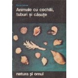 Animale cu Cochilii, Tuburi si Casute