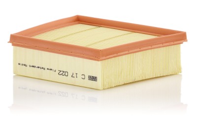 MANN-FILTER C 17 022 Filtru aer foto