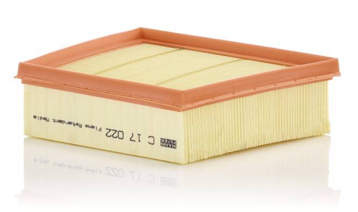 MANN-FILTER C 17 022 Filtru aer