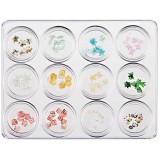 Cumpara ieftin Kit mixt nail art, 12 buc - decorații fin tăiate 5g, INGINAILS