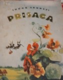 PRISACA ARGHEZI ILUSTRATII MARCELA CORDESCU 1954!