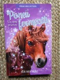 Poneii fermecați. Un nou prieten - Sue Bentley