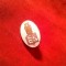Insigna studenteasca interbelica- Facultatea de Filozofie , metal si email,1,8cm