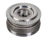 FEBI BILSTEIN 176950 Set rulment roata