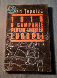 1919 o campanie pentru linistea Europei Ioan Tepelea