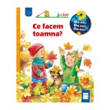 Ce facem toamna?, Andrea Erne, Susanne Szesny, Editura Casa