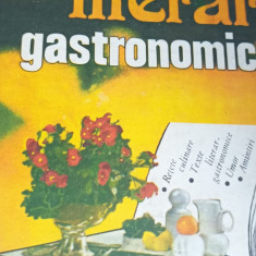 ALBUM LITERAR GASTRONOMIC 1982