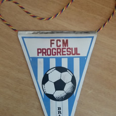 M3 C7 - Tematica cluburi sportive - Clubul sportiv FCM Progresul Braila