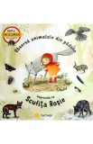 Observa animalele din padure impreuna cu Scufita Rosie - Jana Sediackova, Stepanka Sekaninova