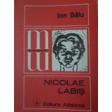 NICOLAE LABIS-ION BALU-208034