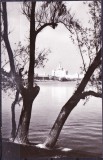 AMS - ILUSTRATA 1059 LACUL HERESTRAU SI CASA SCINTEII, 1964, CIRCULATA