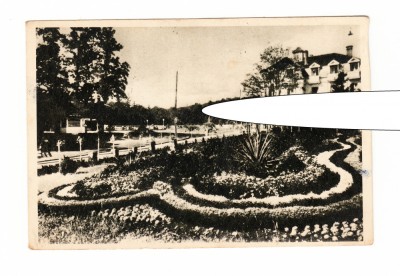 CP Sovata - Vedere din parc, RPR, circulata 1955, stare buna foto