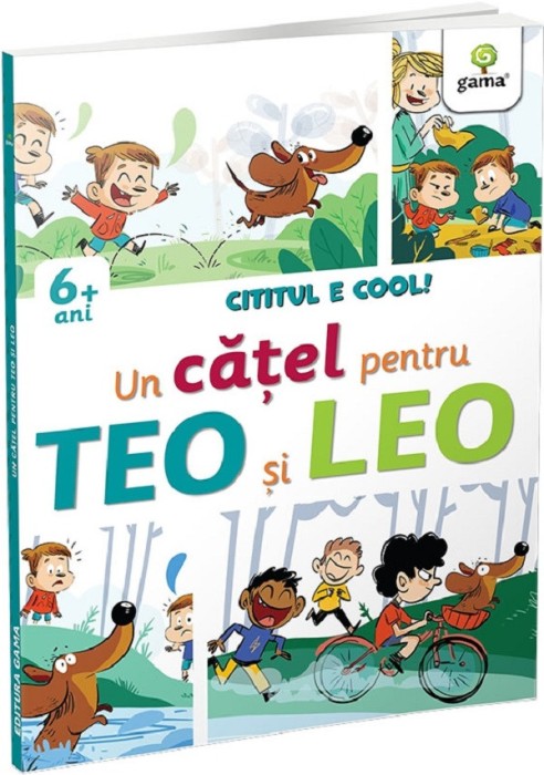 Un Catel Pentru Teo Si Leo, Sara Stangherlin, Fabio Santomauro - Editura Gama