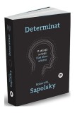 Determinat - Paperback brosat - Robert M. Sapolsky - Publica