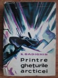 K. Badighin - Printre gheturile arctice