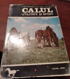 CALUL UTILITATE SI SPORT