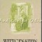 Wittgenstein - P. M. Hacker
