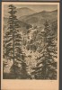 CPIB 21299 CARTE POSTALA - DRUMUL SPRE BORSEC. RPR, Circulata, Printata