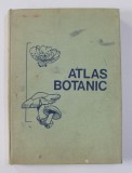 ATLAS BOTANIC de LUCIA POPOVICI , CONSTANTA MORUZI , ION TOMA , 1994