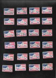 24 timbre USAirmail 31 cents anii70
