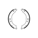 Set saboti frana mana Delphi LS1978, parte montare : Punte Spate