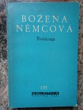 BOZENA NEMCOVA - BUNICUTA