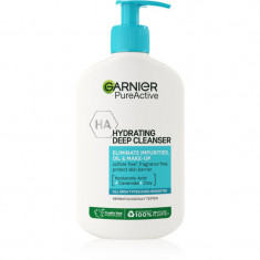 Garnier Pure Active gel hidratant de curatare impotriva imperfectiunilor pielii 250 ml