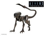 Aliens: Fireteam Elite Action Figure Runner Alien 23 cm, Neca