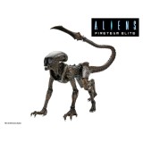 Aliens: Fireteam Elite Action Figure Runner Alien 23 cm