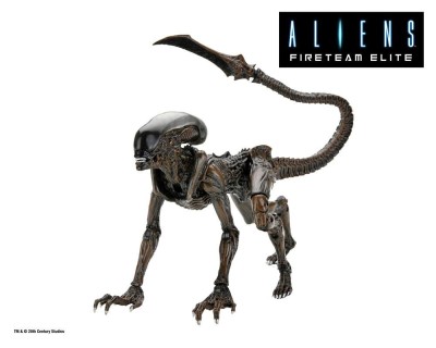 Aliens: Fireteam Elite Action Figure Runner Alien 23 cm foto