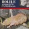 Vadim Nesterov, s.a. - Bolile animalelor pentru blana