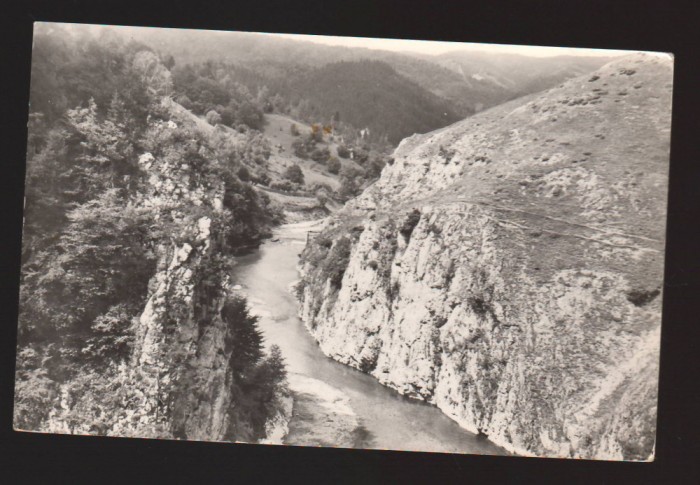 CPIB 19536 CARTE POSTALA - RUCAR. CHEILE DUMBRAVITEI, RPR