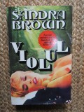 Violul &ndash; Sandra Brown
